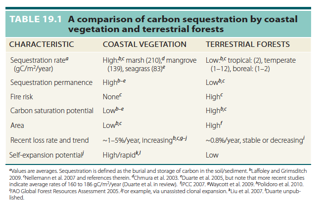 Blue carbon table