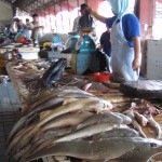 Borneo_fish_market-590×786