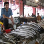 Borneo_fish_market2-150×150