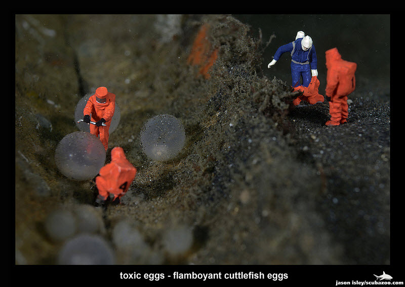Workers-Toxic-Eggs-by-Jason-Isley